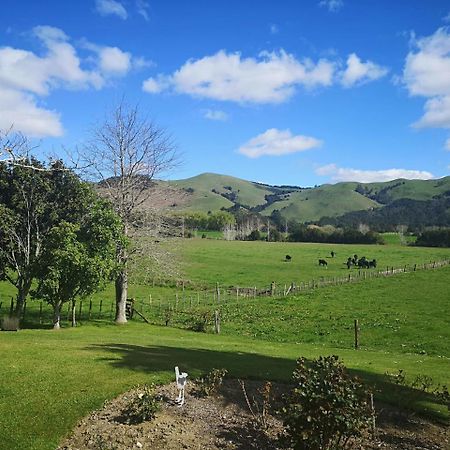 Paeroa Pukeko Lodge Exterior foto